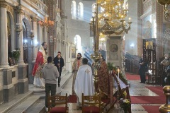 6BB659B2-CB14-40F9-A06D-FF736C74839D