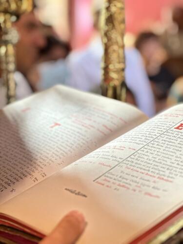 εικόνα_viber_2023-07-20_12-29-02-393